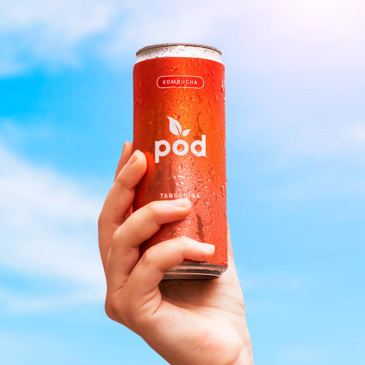 Kit 3 Kombuchas Pod 310ml - Pod Kombucha - Lata Kombucha 310ml