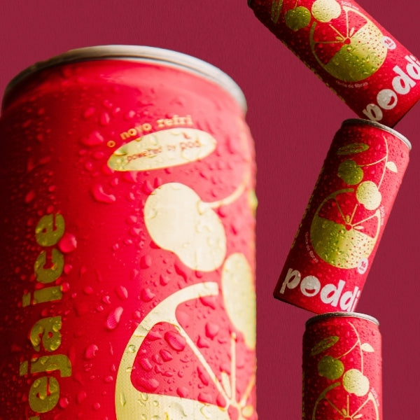 Kit 12 Refrigerantes Poddi 100% Natural Sem Açúcar