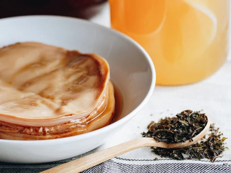 O que é kombucha