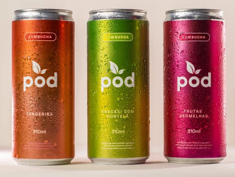 Conheça os benefícios da kombucha