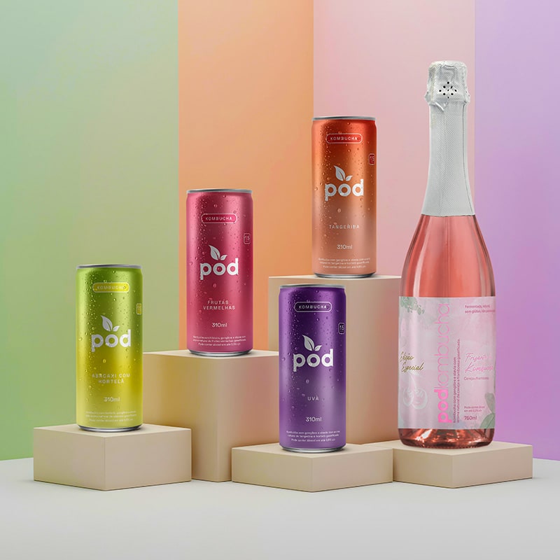 Combo Kombuchas -  12 Kombuchas + 1 Espumante Pod 750ml