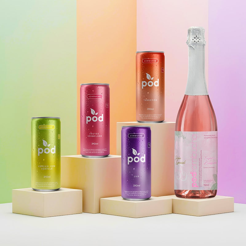 Combo Kombuchas -  12 Kombuchas + 1 Espumante Pod 750ml