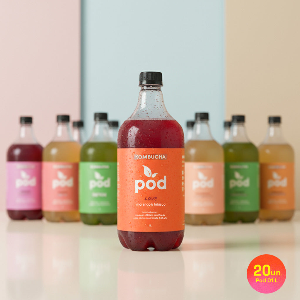 Kit 20 un. Kombuchas Tradicionais 1L (SC, RS, PR) - CLUBE