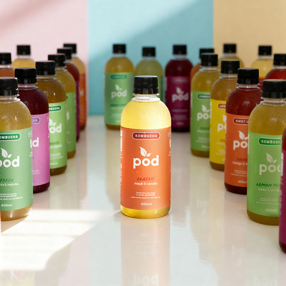 Kit 24 Kombuchas Tradicionais 400ml (SC, RS, PR)