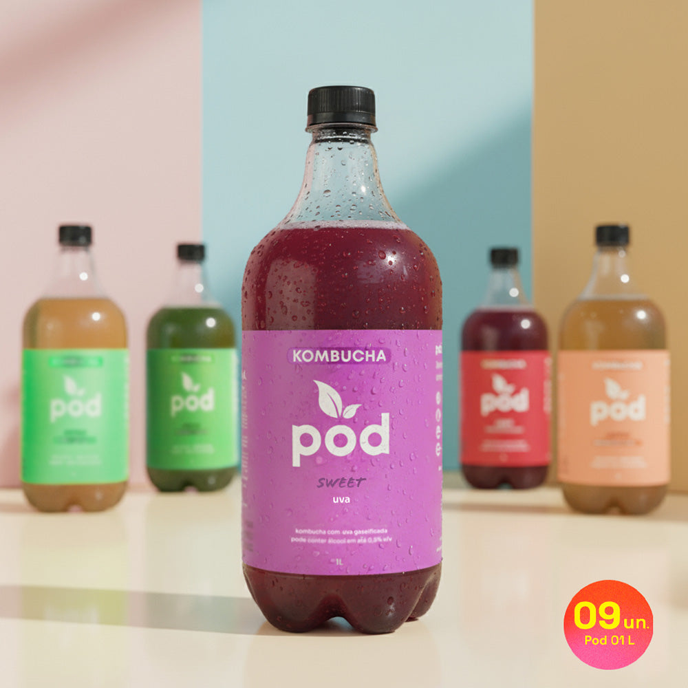 Kit 9 un. Kombuchas Tradicionais 1L (SC, RS, PR)