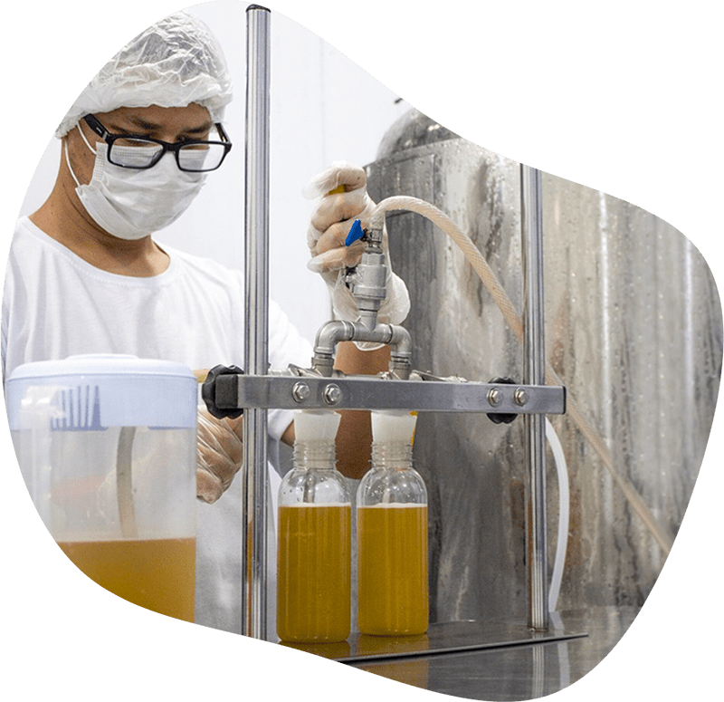 Técnico da Pod operando o envase de garrafas de kombucha na fábrica